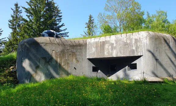 20230527_155118.jpg 20230527_155118.jpg