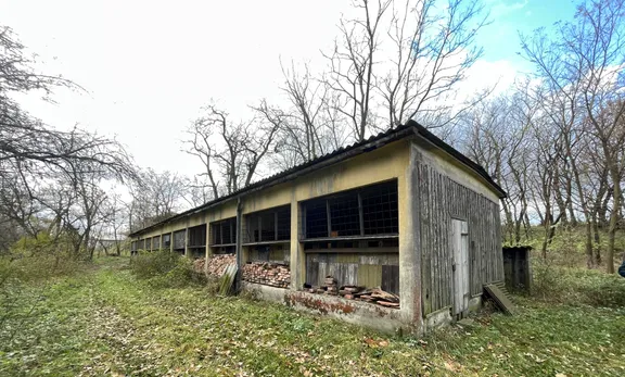 IMG_1093.jpeg IMG_1093.jpeg