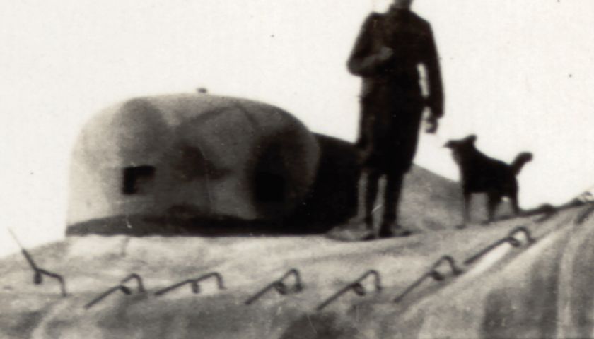 pozorovani-zvon.jpg