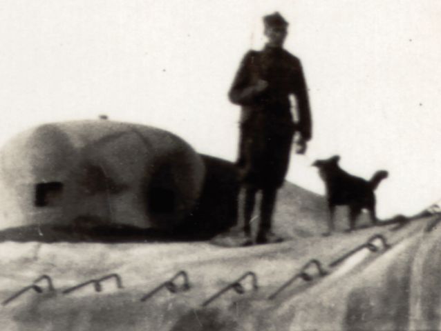 pozorovani-zvon.jpg