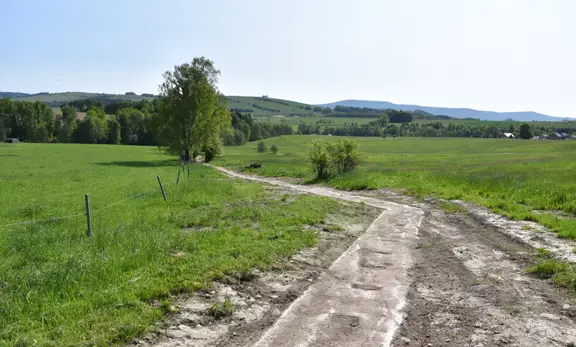 DSC_0969.JPG DSC_0969.JPG