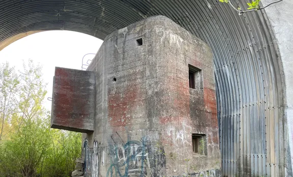 IMG_4205.jpeg IMG_4205.jpeg